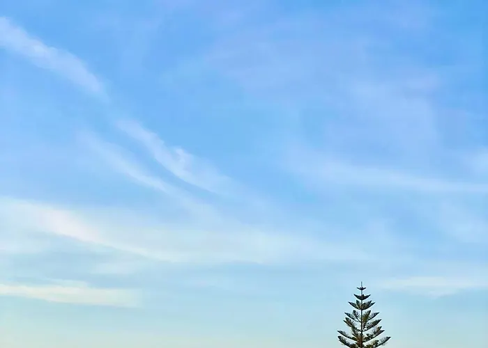 Luxury La Concha Daire *